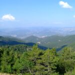 Ordu’da kadınlar tel kırma sanatıyla hem üretiyor hem kazanıyor – Birlik Haber Ajansı