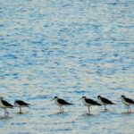Ahmet Metin Genç: “Turizm konusunda hassasiyet bekliyorum” – Birlik Haber Ajansı
