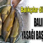 Milli Dirilis Partisi Genel başkanı AHMET GÜMÜŞ önderliğinde,