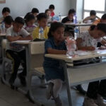 Yunusların ıslıkları kimlikten fazlasını taşıyor: Duygular ve sosyal bağlam kodlanmış olabilir – Birlik Haber Ajansı