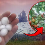 “Uyandığım Dünya” büyük alkış topladı – Birlik Haber Ajansı