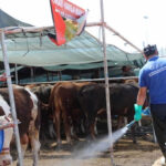 Çin menşeli üç ürüne damping soruşturması – Birlik Haber Ajansı