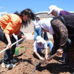 38 il için sarı kodlu uyarı: Sağanak ve fırtına kapıda – Birlik Haber Ajansı