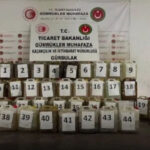 İzmir merkezli 5 ilde FETÖ operasyonu: 33 gözaltı – Birlik Haber Ajansı