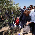 Narin Güran cinayetinde cezalar onandı – Birlik Haber Ajansı