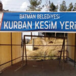 Batmanlı öğrenciler TÜBİTAK finalinde Türkiye derecesi yaptı – Birlik Haber Ajansı