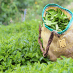 5 ilde bazı taşınmazlar satış yöntemiyle özelleştirilecek – Birlik Haber Ajansı