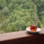 Rize Belediyesi 24 yeni makine ve aracı daha bünyesine kattı – Birlik Haber Ajansı