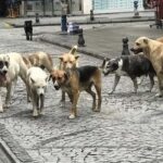 Başkan Kocagöz: “Basınla güçlü iletişim, halkımıza hizmette temel taş” – Birlik Haber Ajansı