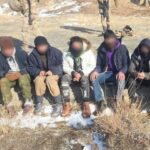 Kars’ta huzur ve güven uygulamasında 480 kök kenevir ele geçirildi – Birlik Haber Ajansı