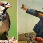 19 Mayıs coşkusuna Deniz Kuvvetlerinden anlamlı katkı: 29 Savaş Gemisi halkla buluşacak – Birlik Haber Ajansı