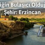 Ankara’da ormanlık alanlara girişler 10 Haziran’dan itibaren yasaklandı – Birlik Haber Ajansı