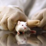 Milletvekili Gider’den Lapseki’ye hizmet vurgusu: “Kapılar açılsın, biz hazırız” – Birlik Haber Ajansı