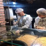 15 il için “Sarı” uyarı: Kuvvetli rüzgar ve sağanak yağışa dikkat – Birlik Haber Ajansı