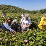 Ranta değil halka açılan Durugöl cazibe merkezi oldu – Birlik Haber Ajansı