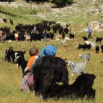 Çinli yatırımcı Zhang Dalin’den KATSO’ya ziyaret – Birlik Haber Ajansı