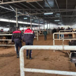 MHP İlçe Başkanı Orhan ve İl Başkan Yardımcısı Erdoğan, Milli Eğitim Müdürü Uslu’yu ziyaret etti – Birlik Haber Ajansı