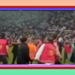 Kurt sürüsü Ağasar’da korkutuyor – Birlik Haber Ajansı