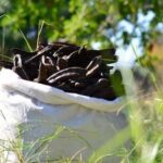 Meteoroloji'den 11 il için "sarı" kodlu uyarı