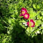 Tunceli’de duygusal anlar; Vali neden ağladı? – Birlik Haber Ajansı