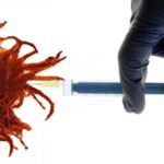 Kocaeli’de otopark sorununa neşter: 280 araçlık yeni alan hizmete girdi – Birlik Haber Ajansı