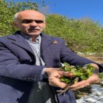 Etil asetat ithalatına 3 yıllık korunma önlemi: Ek mali yükümlülük geliyor – Birlik Haber Ajansı