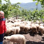 Cumhurbaşkanı Erdoğan’dan Türkiye Diyanet Vakfı’na kurban bağışı – Birlik Haber Ajansı