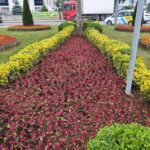 Türk Dünyası’nın ortak geleceğine ışık tutan üniversite yeni mezunlarını uğurladı – Birlik Haber Ajansı