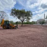 Kurban pazarlarında haşere mesaisi başladı – Birlik Haber Ajansı