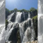 Türk Dünyası Tarım Zirvesi Bursa’da gerçekleşti – Birlik Haber Ajansı