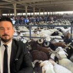 Bir yılın emeği bu sergide! – Birlik Haber Ajansı