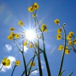 Lidya’nın kalbi gece ışıklarıyla yeniden canlanıyor! – Birlik Haber Ajansı