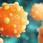 Çorum Valiliği Hukuk Müşaviri Temel Ayca’dan TİMBİR’e ziyaret – Birlik Haber Ajansı