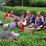 Körfezray Metro projesi hız kesmiyor – Birlik Haber Ajansı