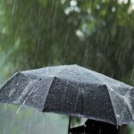 10 ilde eş zamanlı operasyon: 11 organize suç örgütüne darbe – Birlik Haber Ajansı