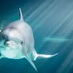 Semt Konakları Öğrenci Seçme Sınavı yapıldı