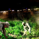 2025 Yılı İcra Müdür ve İcra Müdür Yardımcıları Atamaları Yapıldı – Birlik Haber Ajansı