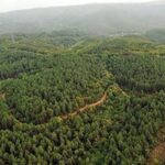 AK Parti İl Başkanı Ali Çetin’den Özgür Özel’e tepki – Birlik Haber Ajansı