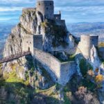 İslamofobi ile mücadelede uluslararası iş birliği – Birlik Haber Ajansı