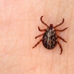 Bodrum’da edebiyat ve sinema konuşuldu – Birlik Haber Ajansı