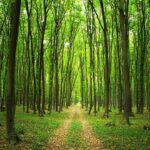 Bakan Bolat: Enerji konusunda, Türkiye-Rusya ilişkileri büyük önem taşıyor – Birlik Haber Ajansı