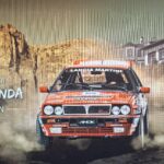 Ağaçlar bakımsızlıktan kurudu: Orman İşletme’ye devredilecek – Birlik Haber Ajansı