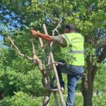 Bakan Şimşek: Fiyat istikrarı yolunda politikalarımızı kararlılıkla sürdürüyoruz – Birlik Haber Ajansı
