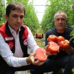 Sivas’ta kene bilgilendirme toplantısı gerçekleşti – Birlik Haber Ajansı