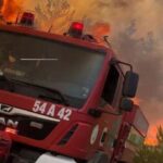 Büyük Tarım Envanteri Sayımı Temmuz Ayında Başlıyor! – Birlik Haber Ajansı