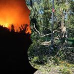 Büyük Tarım Envanteri Sayımı Temmuz Ayında Başlıyor! – Birlik Haber Ajansı