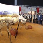 Antalya Muratpaşa’da Turunç Masa 21 bin 478 çağrı yanıtladı – Birlik Haber Ajansı