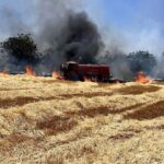 Mersin’de arıcılara “Bal Gibi” destek