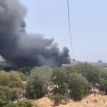 İstanbul’da 2025 yılında 7 bin 2 kene vakası bildirildi – Birlik Haber Ajansı