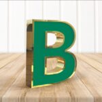 A Milli Takım, ABD ve Meksika maçlarına hazır! – Birlik Haber Ajansı